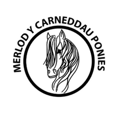 Merlod Y Carneddau Ponies