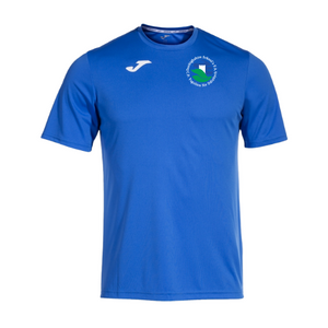 Denbighshire Schoolgirls FA - Training Shirt