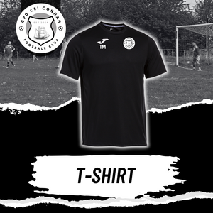 CPD Cei Connah - Training Top