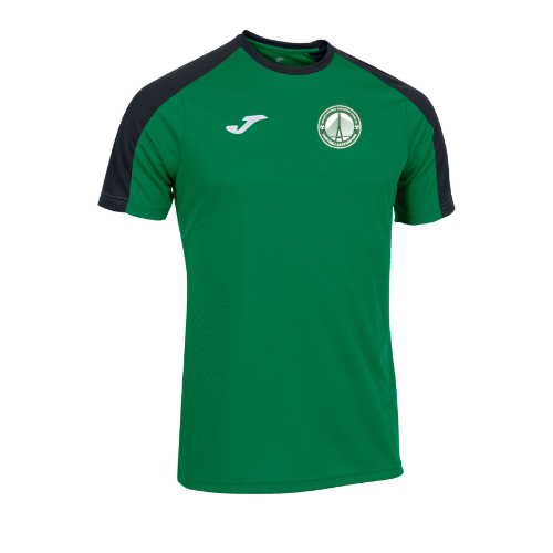 Flintshire School Girls FA - Training Tee