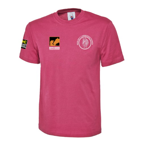 Merlod Y Carneddau Ponies - *Unisex* *Deluxe*  Hot Pink Round Neck T-Shirt