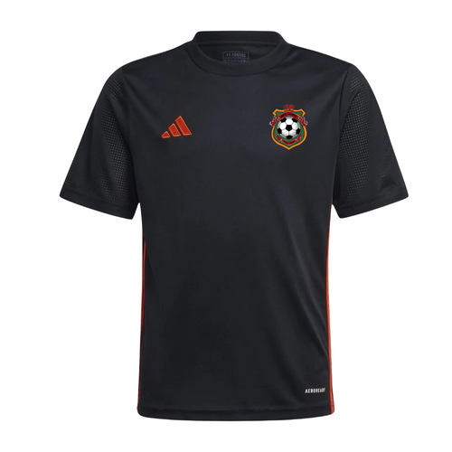Rhyl Hearts (Adidas) Player Training T-Shirt