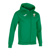 Three Royal Welsh - Hoodie