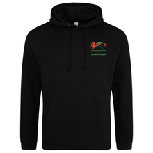 Dreigiau'r Dyffryn - Hoodie *ADULT*