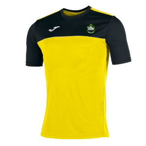 Castell Alun Fc - Training Top